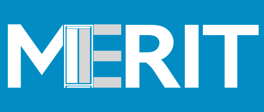Компания "Merit"
